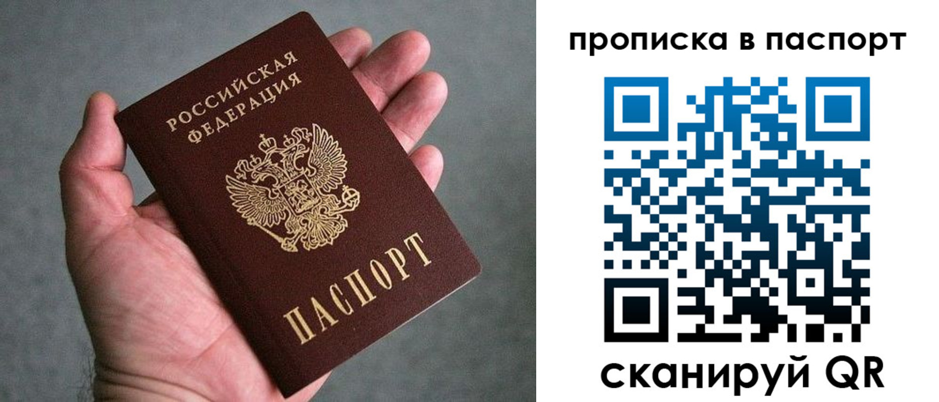 прописка гарантия в Архангельске